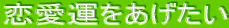 風水 恋愛運をあげたい